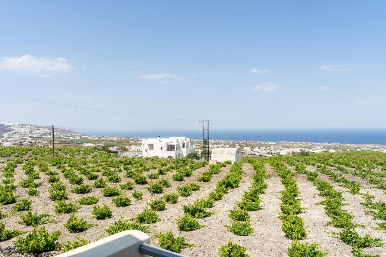 Ampelos Executive Houses Pyrgos Kallistis Exterior photo