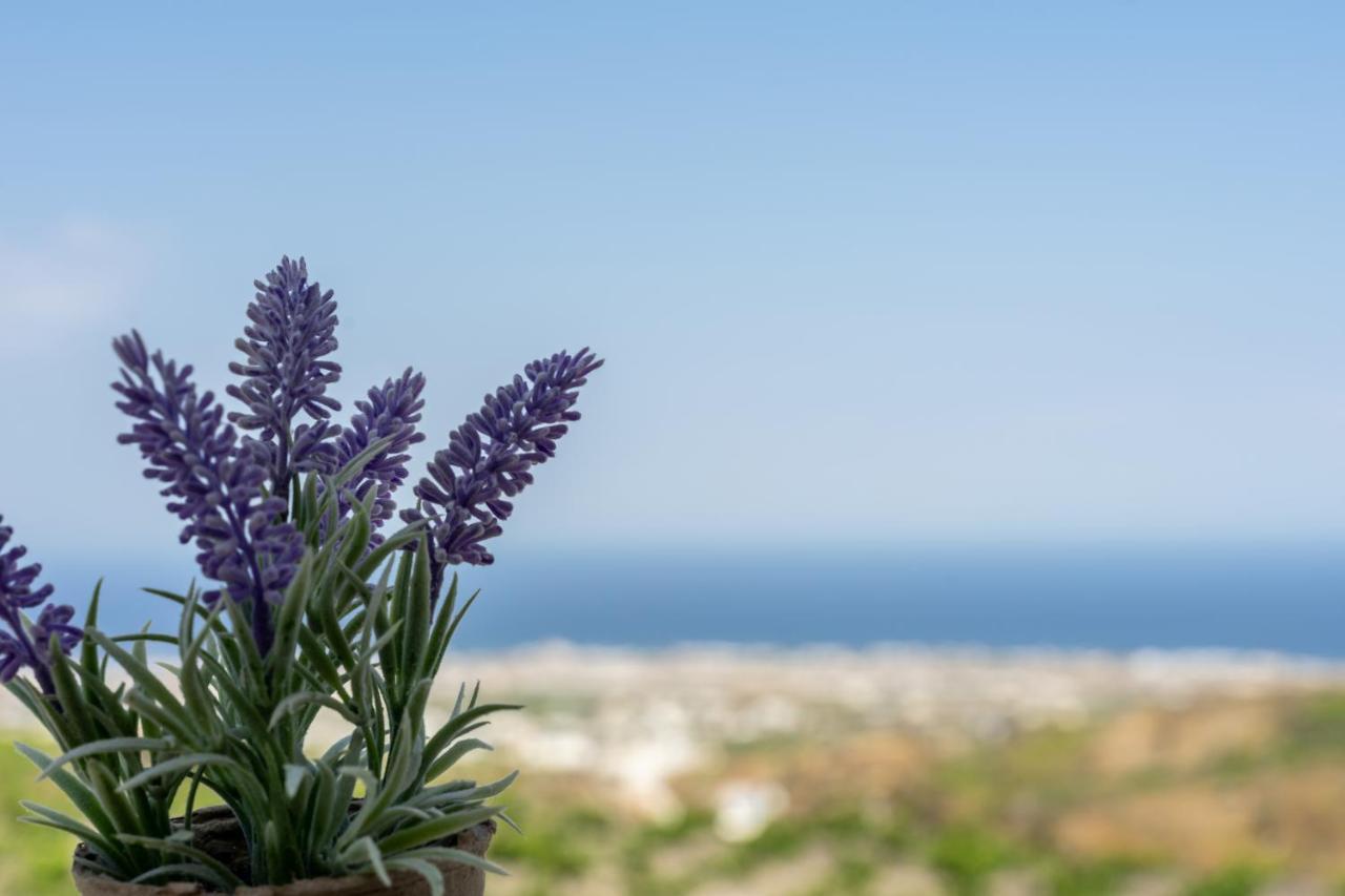 Ampelos Executive Houses Pyrgos Kallistis Exterior photo